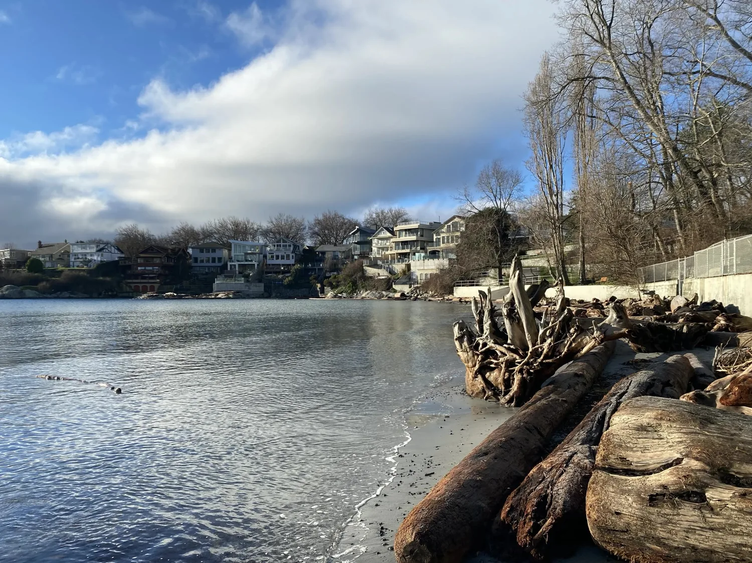 Scenic driftwood-lined beach and homes across the cove