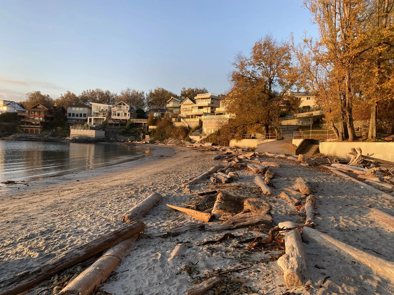 Evening sun illuminating Gonzales Beach and the neighbourhood waterfront